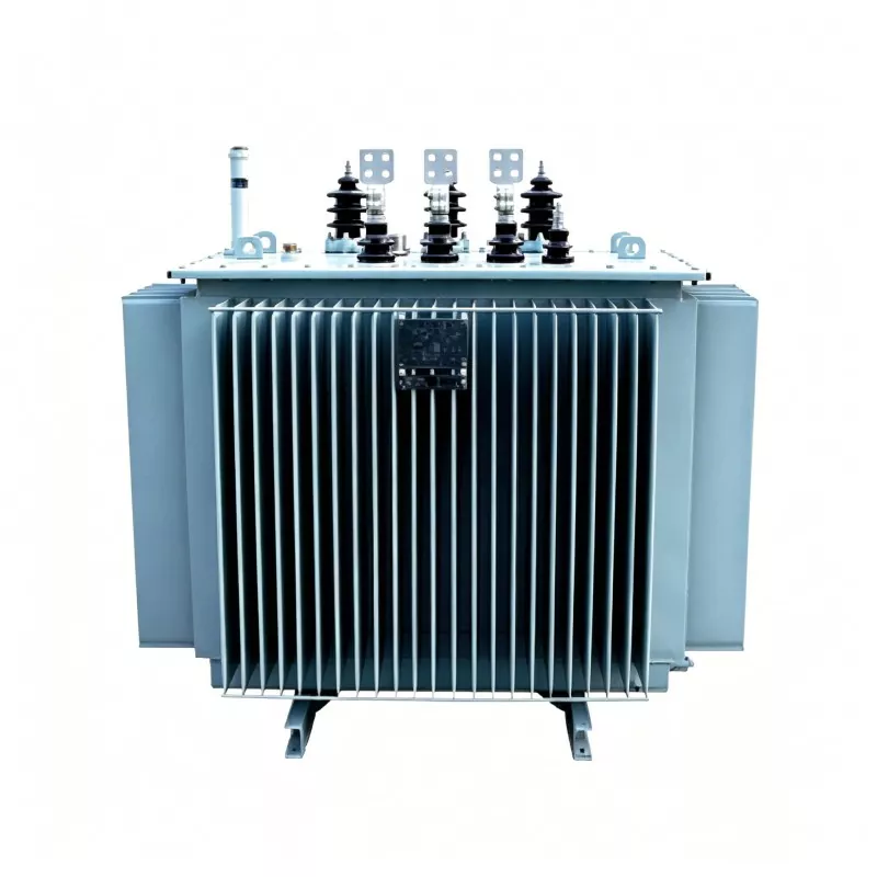 100kVA 3 fazlı dağıtım transformatörü